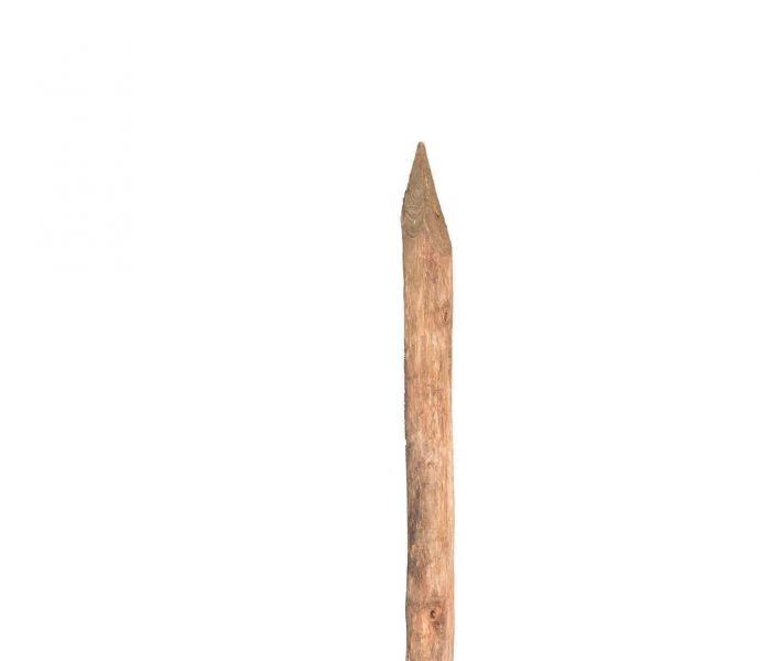 Robinia paal - ontschorst - gepunt 2m diameter 6/8 cm
